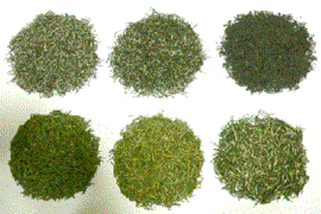 تصویر دسته بندی سبزی خشک