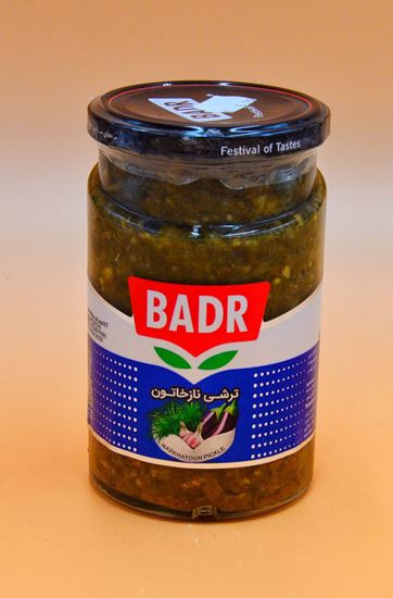 تصویر ترشی ناز خاتون