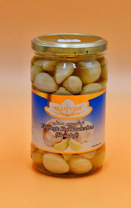 تصویر ترشی سیر صدفی