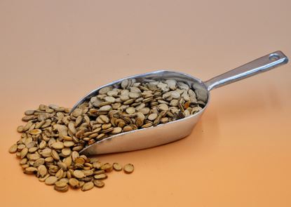 تصویر تخمه هندوانه