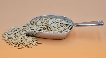 تصویر تخمه کدو