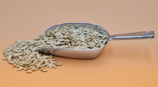 تصویر تخمه کدو