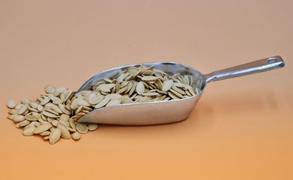 تصویر تخمه کدو