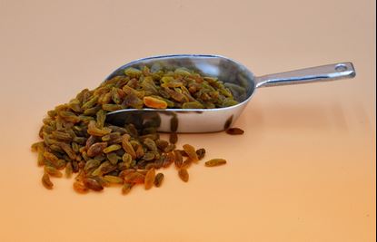 تصویر کشمش سبز