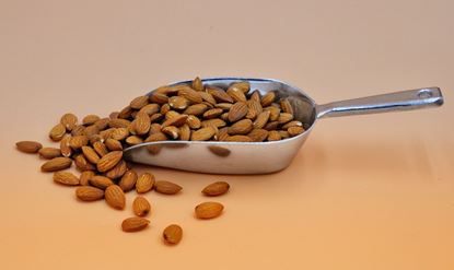 تصویر مغز بادم